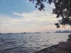 -新加坡海鲜共和(名胜世界圣淘沙海滨坊)