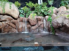 -上海海洋水族馆