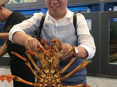 -悉尼鱼市场