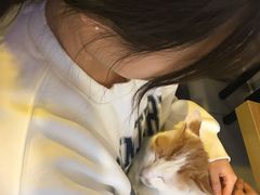 -平行世界·猫咖(首经贸店)