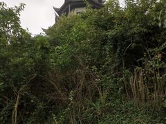 -缥缈峰景区