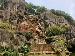 -金鸡山公园