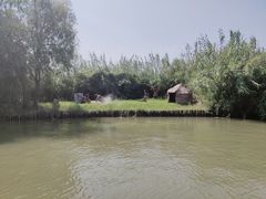 -泗洪洪泽湖湿地景区