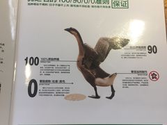 -优之名鹅城