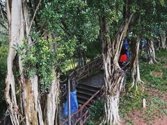-丰都鬼城名山景区