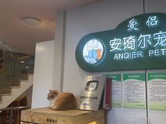 -爱侣·安琦尔宠物医院·中兽医针灸·心内科·狂犬免疫点(宝山区院)