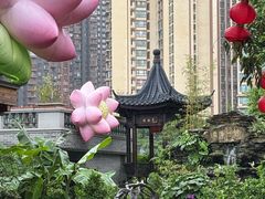 -顺德渔村·岭南一号