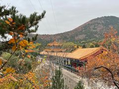 -北京十三陵国家森林公园蟒山景区