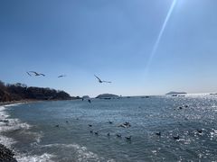 -银沙滩浴场