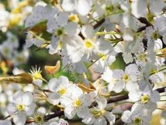 -云峰山自然风景区