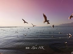 -滇池海埂公园