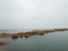 -太湖湖滨国家湿地公园-停车场