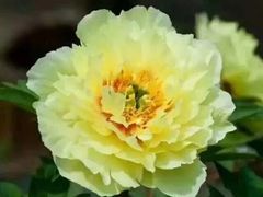 -袁记串串香(涧西总店)