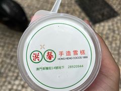 -洪馨椰子