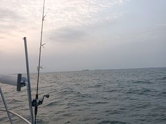 -日照世帆赛基地