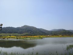 -径山花海