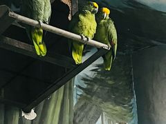 -石家庄市动物园