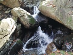 -藏龙百瀑风景区