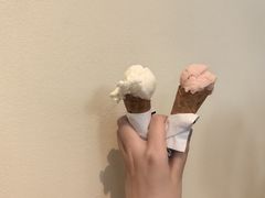 -红楼HONGLOU Gelato(淮海中路店)