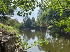 -冶父山国家森林公园