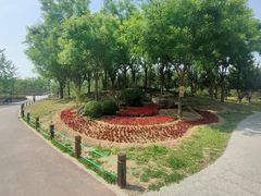 -马家湾湿地公园
