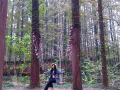 -日照灯塔风景区