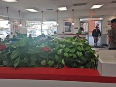 -In-N-Out Burger(LAX)