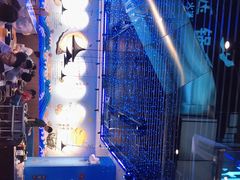 -千岛蚝高压锅生蚝·人参火锅(白云万达店)