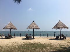 -北海金海湾红树林生态旅游区