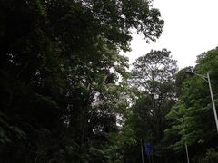 -火炉山森林公园