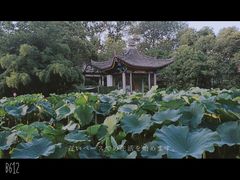 -莲湖公园