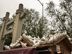 -天津妈祖文化园