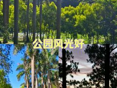 -八仙山公园