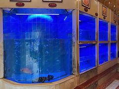 -阿一鲍鱼·20年匠心传承(天河北旗舰店)