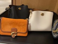 -COACH蔻驰(德基广场店)