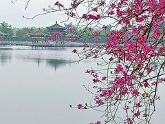 -星湖旅游景区七星岩