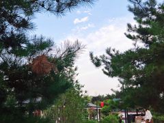 -后海彼岸花园餐厅