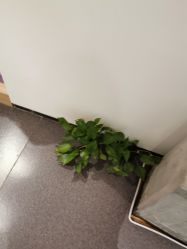 -吾之瑜生瑜伽普拉提学院