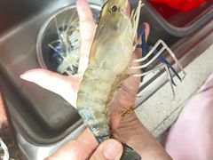 -江杨农产品批发市场