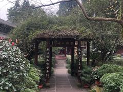 -峨眉山报国寺