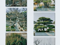 -留园