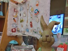 -宠物兔专门店(天丰利市场店)