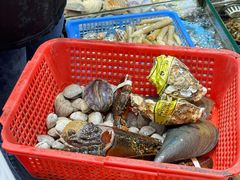 -船奇蒸汽海鲜·闽菜(八市海鲜总店)