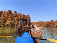 -上海海湾国家森林公园