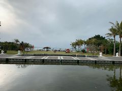 -采粤轩中餐厅(惠州金海湾喜来登度假酒店)