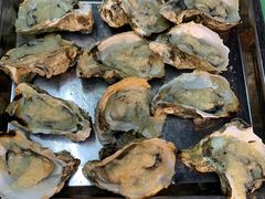 碳烤生蚝-齿留香湛江生蚝(白沙大道西店)