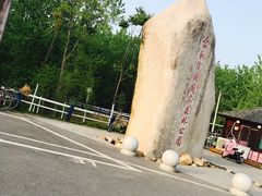 -合肥滨湖国家森林公园