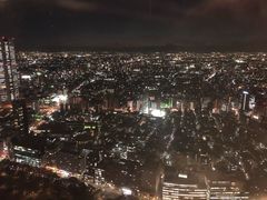 -东京都厅舍