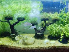 -谷隆画舍·国画书法素描彩铅水彩