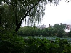 -新江湾城公园